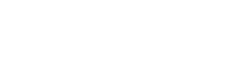 Travel Services